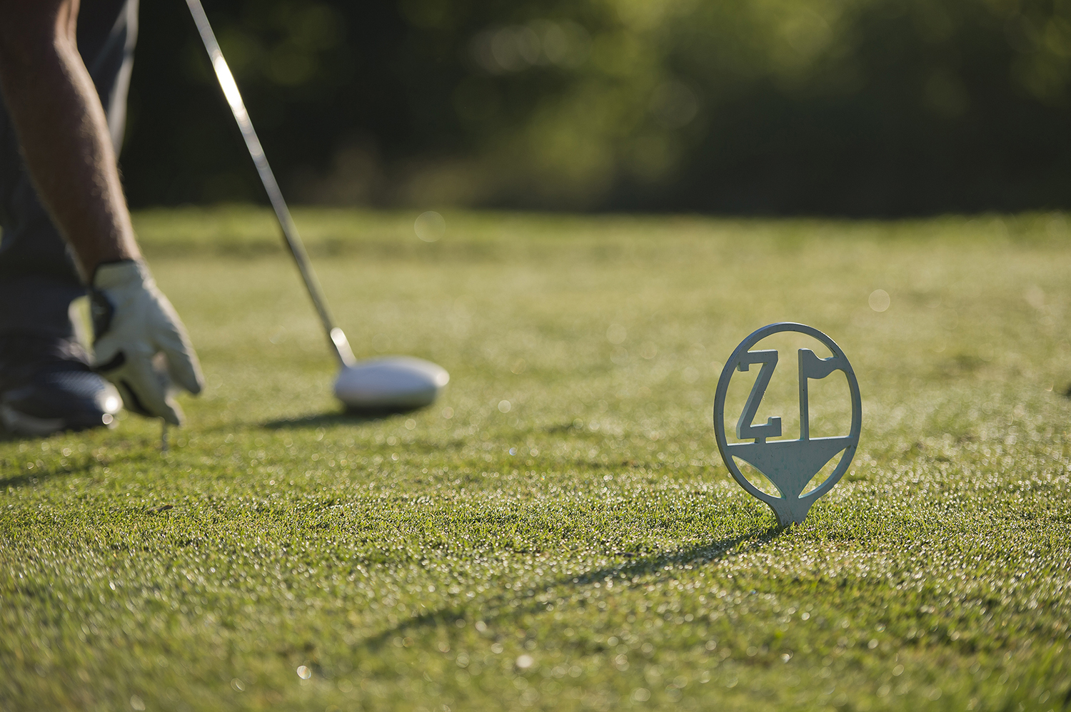 Zollner Golf Tee Header image